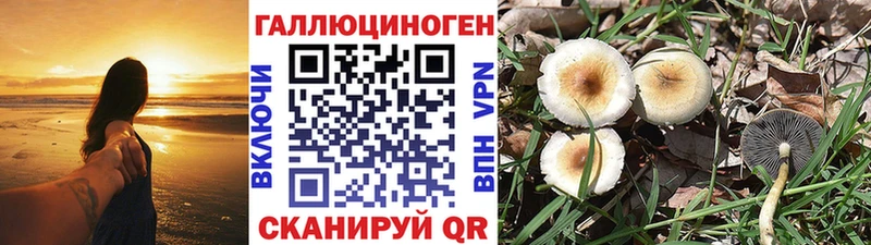 Галлюциногенные грибы MAGIC MUSHROOMS  где можно купить   Красавино 